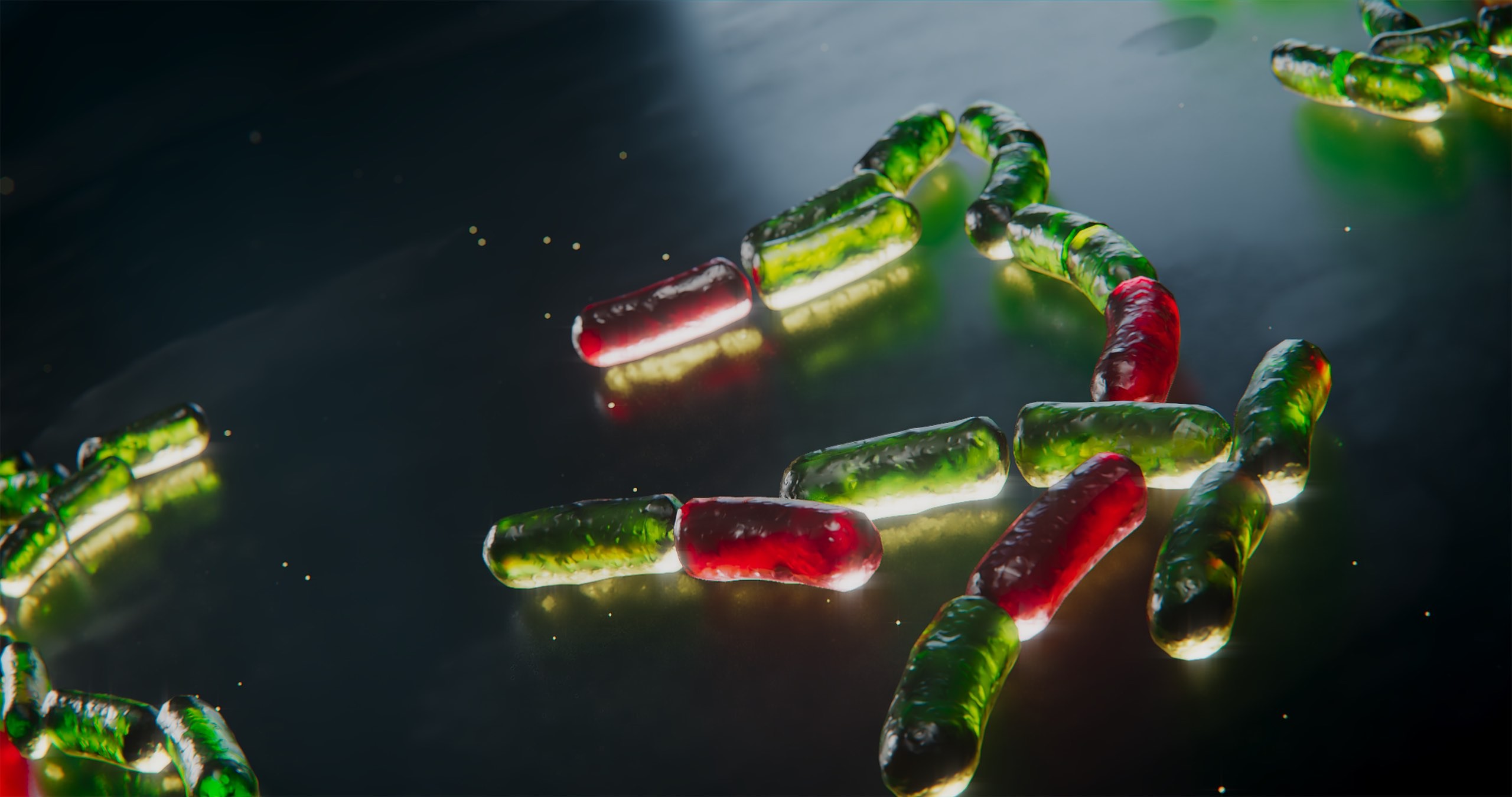 This image shows 3D animation of bacteria in green and red.jpg